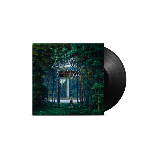 VINYL 2LP THE JOURNEY